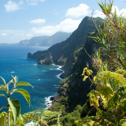 Vakantie madeira calheta